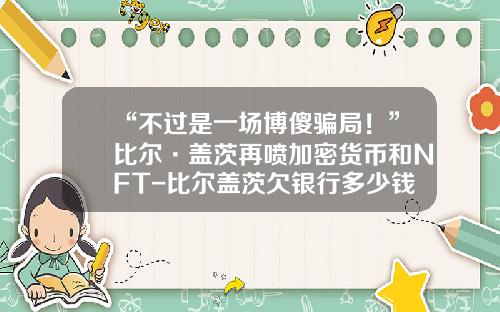 “不过是一场博傻骗局！”比尔·盖茨再喷加密货币和NFT-比尔盖茨欠银行多少钱