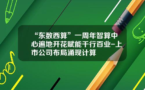 “东数西算”一周年智算中心遍地开花赋能千行百业-上市公司布局涌现计算