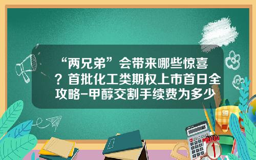 “两兄弟”会带来哪些惊喜？首批化工类期权上市首日全攻略-甲醇交割手续费为多少