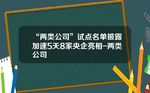 “两类公司”试点名单披露加速5天8家央企亮相-两类公司