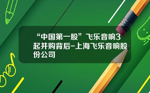 “中国第一股”飞乐音响3起并购背后-上海飞乐音响股份公司