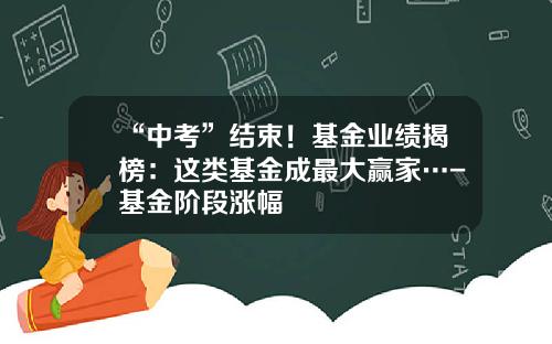 “中考”结束！基金业绩揭榜：这类基金成最大赢家…-基金阶段涨幅