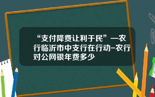 “支付降费让利于民”—农行临沂市中支行在行动-农行对公网银年费多少
