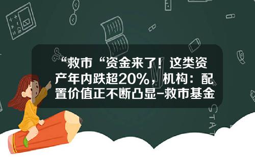 “救市“资金来了！这类资产年内跌超20%，机构：配置价值正不断凸显-救市基金