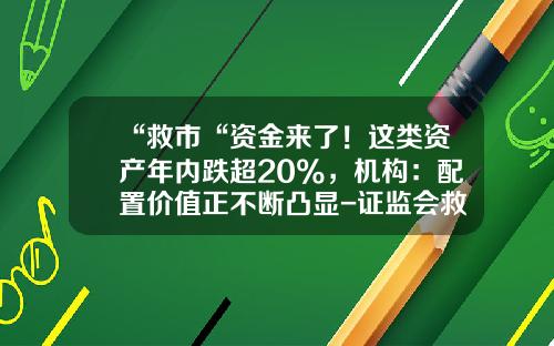 “救市“资金来了！这类资产年内跌超20%，机构：配置价值正不断凸显-证监会救市花了多少钱