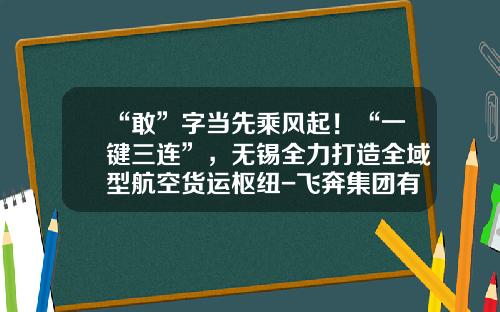“敢”字当先乘风起！“一键三连”，无锡全力打造全域型航空货运枢纽-飞奔集团有限公司