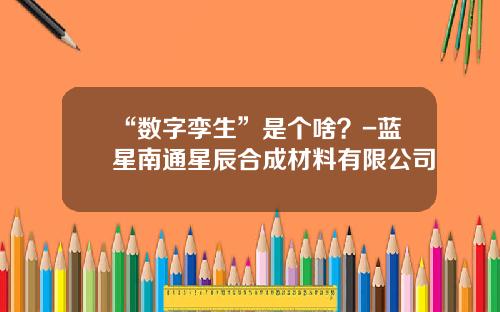 “数字孪生”是个啥？-蓝星南通星辰合成材料有限公司