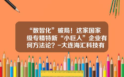 “数智化”破局！这家国家级专精特新“小巨人”企业有何方法论？-大连海汇科技有限公司
