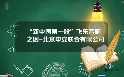 “新中国第一股”飞乐音响之困-北京申安联合有限公司