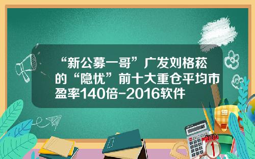 “新公募一哥”广发刘格菘的“隐忧”前十大重仓平均市盈率140倍-2016软件平均市盈率是多少