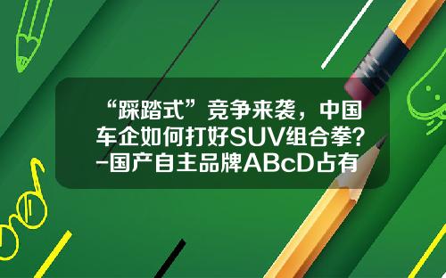 “踩踏式”竞争来袭，中国车企如何打好SUV组合拳？-国产自主品牌ABcD占有多少市场【新闻】