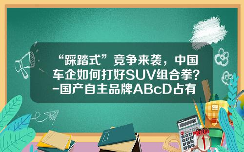 “踩踏式”竞争来袭，中国车企如何打好SUV组合拳？-国产自主品牌ABcD占有多少市场【新闻】