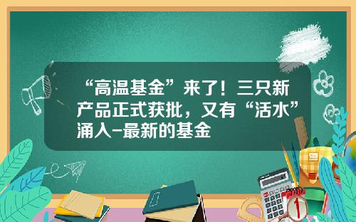 “高温基金”来了！三只新产品正式获批，又有“活水”涌入-最新的基金