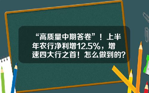 “高质量中期答卷”！上半年农行净利增12.5%，增速四大行之首！怎么做到的？一文看懂业绩亮点#热点复盘#-农行基金收益排名