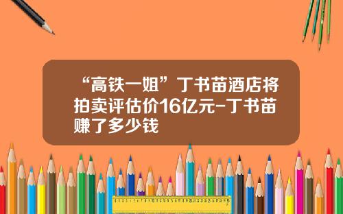 “高铁一姐”丁书苗酒店将拍卖评估价16亿元-丁书苗赚了多少钱