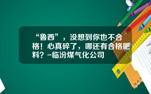 “鲁西”，没想到你也不合格！心真碎了，哪还有合格肥料？-临汾煤气化公司