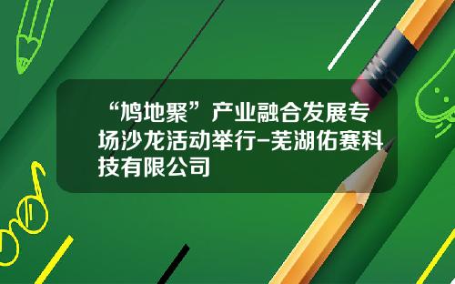 “鸠地聚”产业融合发展专场沙龙活动举行-芜湖佑赛科技有限公司