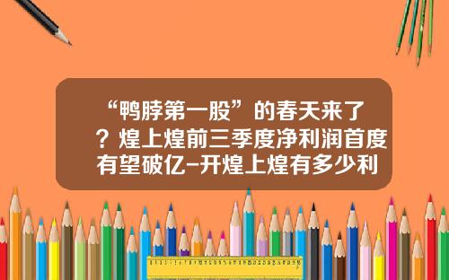 “鸭脖第一股”的春天来了？煌上煌前三季度净利润首度有望破亿-开煌上煌有多少利润