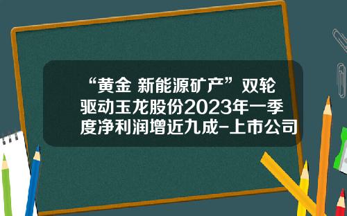 “黄金+新能源矿产”双轮驱动玉龙股份2023年一季度净利润增近九成-上市公司黄金储量排名