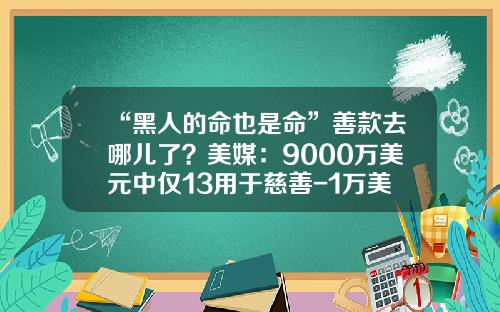 “黑人的命也是命”善款去哪儿了？美媒：9000万美元中仅13用于慈善-1万美元换多少钱人民币
