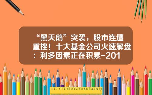 “黑天鹅”突袭，股市连遭重挫！十大基金公司火速解盘：利多因素正在积累-2018基金