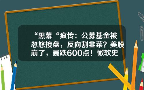 “黑幕“疯传：公募基金被忽悠接盘，反向割韭菜？美股崩了，暴跌600点！微软史上最大规模：狂砸4300亿进军元宇宙，暴涨超30%-黑幕基金