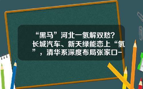 “黑马”河北一氢解双愁？长城汽车、新天绿能恋上“氢”，清华系深度布局张家口-水木有恒投资基金