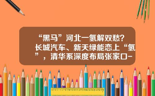 “黑马”河北一氢解双愁？长城汽车、新天绿能恋上“氢”，清华系深度布局张家口-浙江绿能投资有限公司