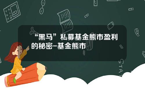 “黑马”私募基金熊市盈利的秘密-基金熊市