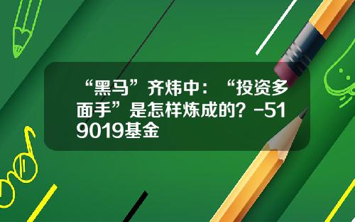 “黑马”齐炜中：“投资多面手”是怎样炼成的？-519019基金