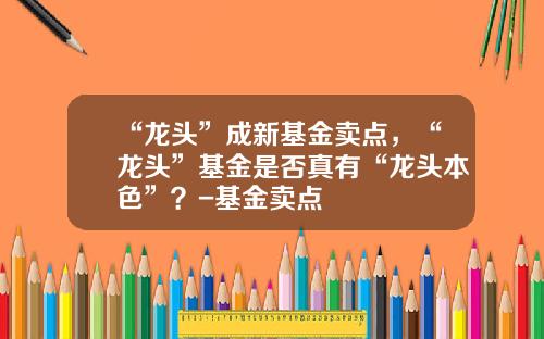 “龙头”成新基金卖点，“龙头”基金是否真有“龙头本色”？-基金卖点