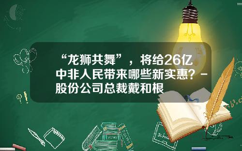 “龙狮共舞”，将给26亿中非人民带来哪些新实惠？-股份公司总裁戴和根