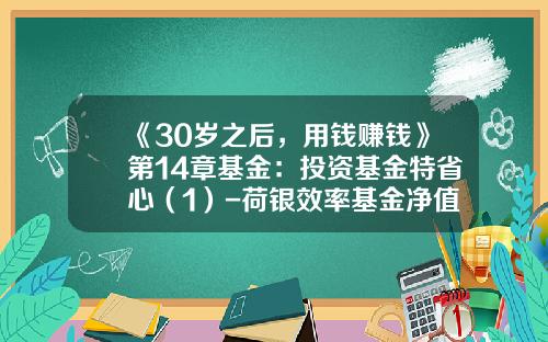 《30岁之后，用钱赚钱》第14章基金：投资基金特省心（1）-荷银效率基金净值查询