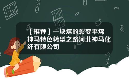 【推荐】一块煤的裂变平煤神马特色转型之路河北神马化纤有限公司