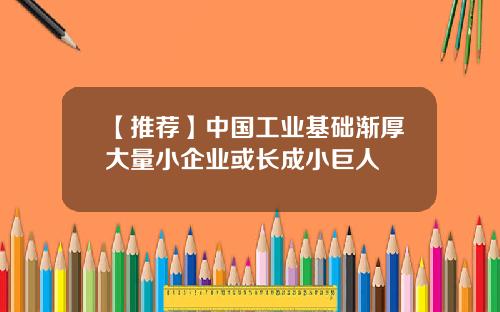 【推荐】中国工业基础渐厚大量小企业或长成小巨人