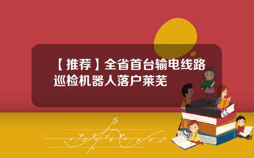 【推荐】全省首台输电线路巡检机器人落户莱芜