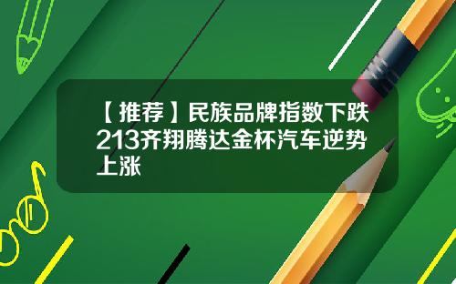 【推荐】民族品牌指数下跌213齐翔腾达金杯汽车逆势上涨