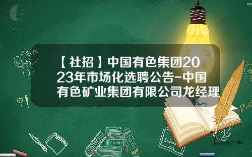 【社招】中国有色集团2023年市场化选聘公告-中国有色矿业集团有限公司龙经理