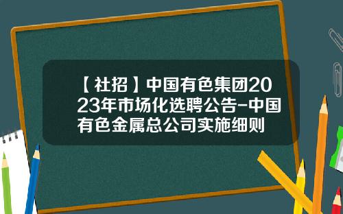 【社招】中国有色集团2023年市场化选聘公告-中国有色金属总公司实施细则