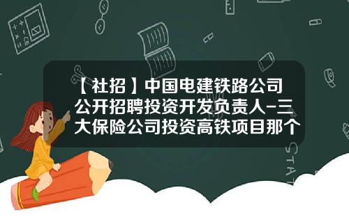 【社招】中国电建铁路公司公开招聘投资开发负责人-三大保险公司投资高铁项目那个好
