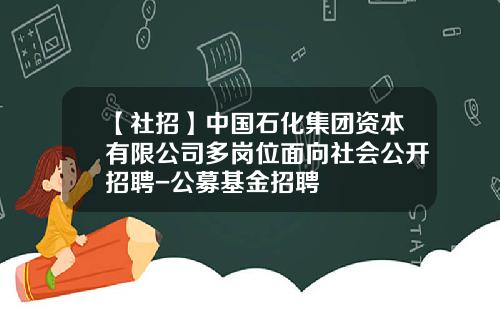 【社招】中国石化集团资本有限公司多岗位面向社会公开招聘-公募基金招聘