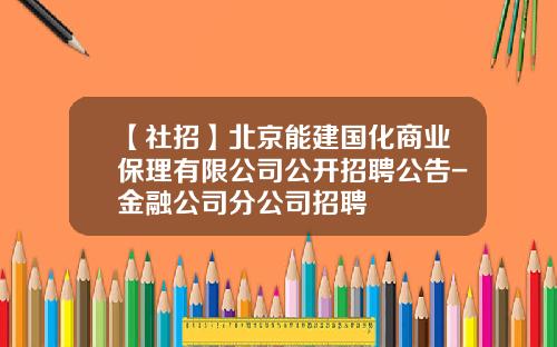 【社招】北京能建国化商业保理有限公司公开招聘公告-金融公司分公司招聘