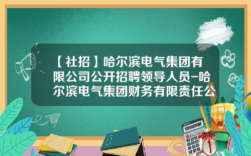 【社招】哈尔滨电气集团有限公司公开招聘领导人员-哈尔滨电气集团财务有限责任公司