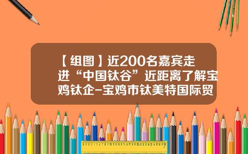 【组图】近200名嘉宾走进“中国钛谷”近距离了解宝鸡钛企-宝鸡市钛美特国际贸易有限公司