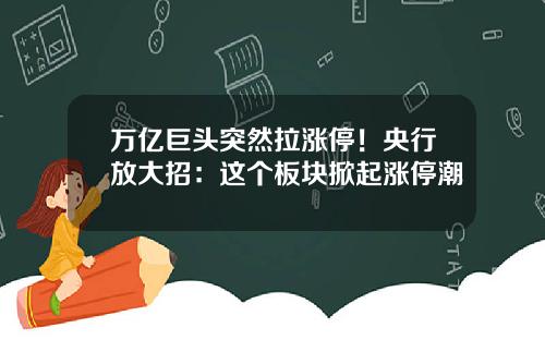 万亿巨头突然拉涨停!央行放大招:这个板块掀起涨停潮