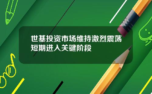世基投资市场维持激烈震荡短期进入关键阶段