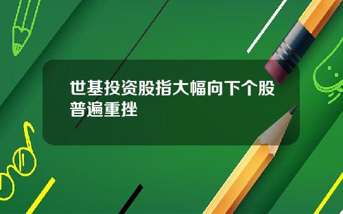 世基投资股指大幅向下个股普遍重挫