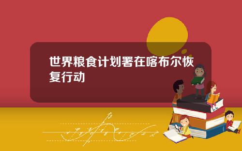 世界粮食计划署在喀布尔恢复行动