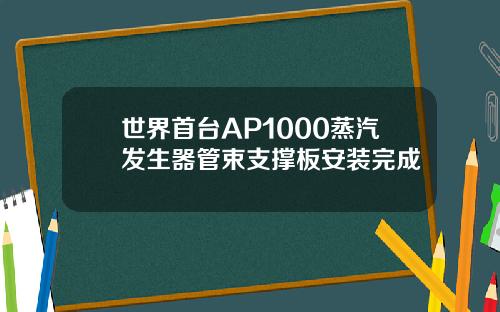 世界首台AP1000蒸汽发生器管束支撑板安装完成