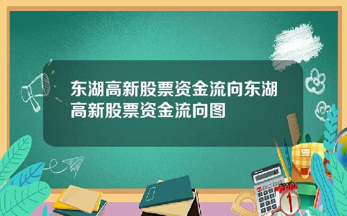 东湖高新股票资金流向东湖高新股票资金流向图